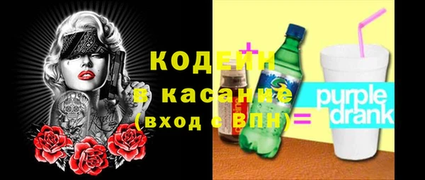 прущий лед Алзамай