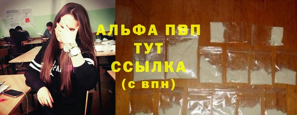 прущий лед Алзамай