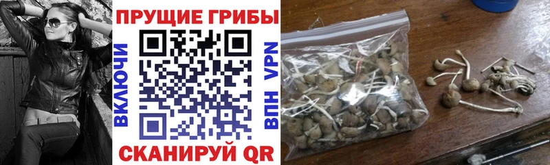 мориарти формула Воткинск Галлюциногенные грибы мицелий наркошоп