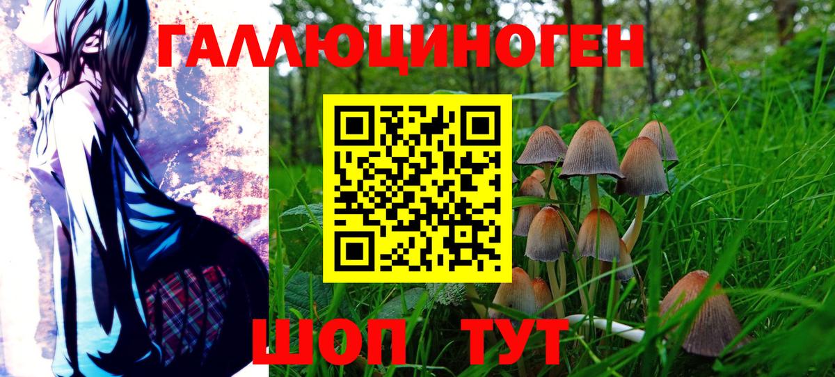 Воткинск  Псилоцибиновые грибы Psilocybine cubensis  Галлюциногенные грибы мухоморы  Вход с VPN 