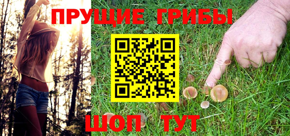 Галлюциногенные грибы Psilocybine cubensis Воткинск
